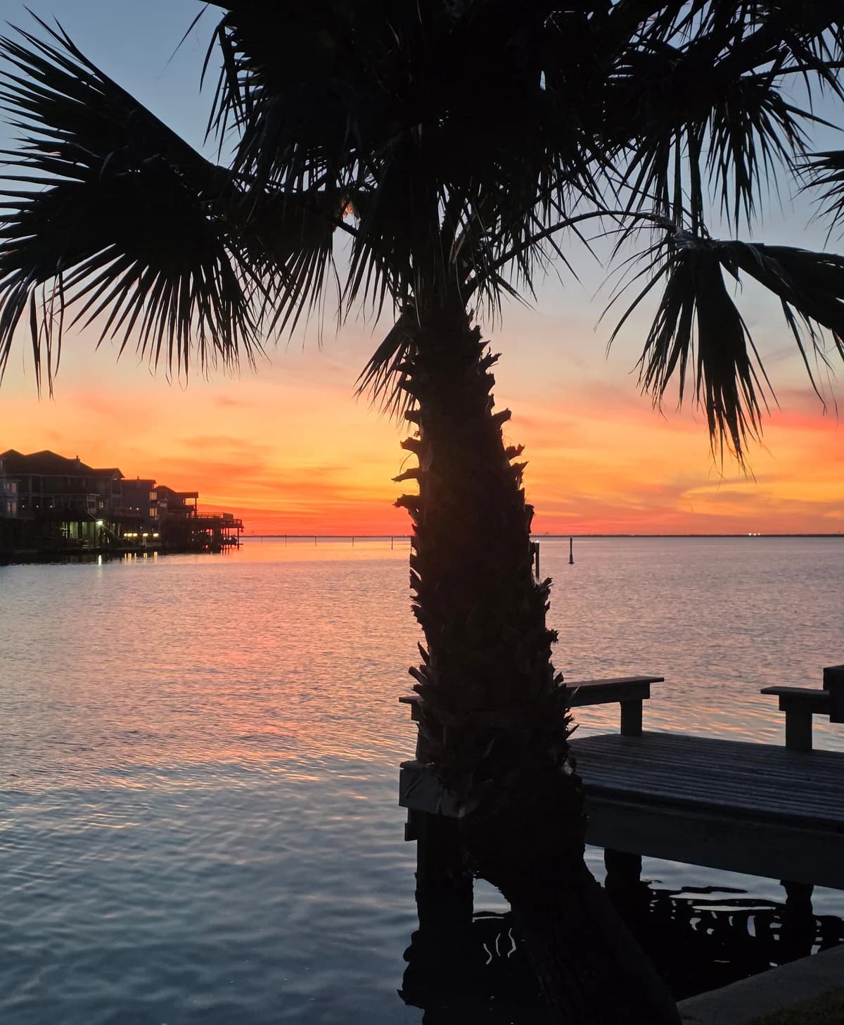 A palm tree silhouettes against an orange sky beside a small waterfront dock.